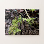 Mosses Legpuzzel (Horizontaal)