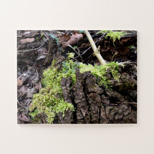 Mosses Legpuzzel (Horizontaal)