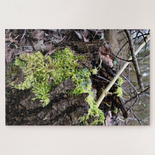 Mosses Legpuzzel (Horizontaal)