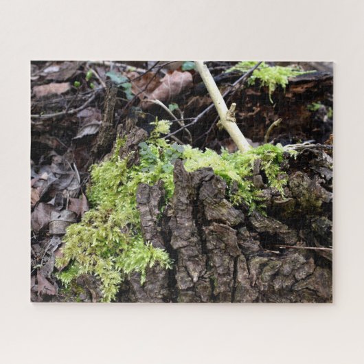 Mosses Legpuzzel (Horizontaal)