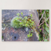 Mosses Legpuzzel (Horizontaal)