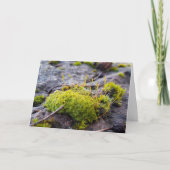 Mosses, Lentesontzoening Kaart (Voorkant)