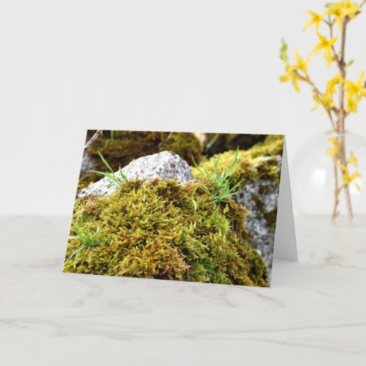 Mosses, Lentesontzoening Kaart (Gele Bloem)