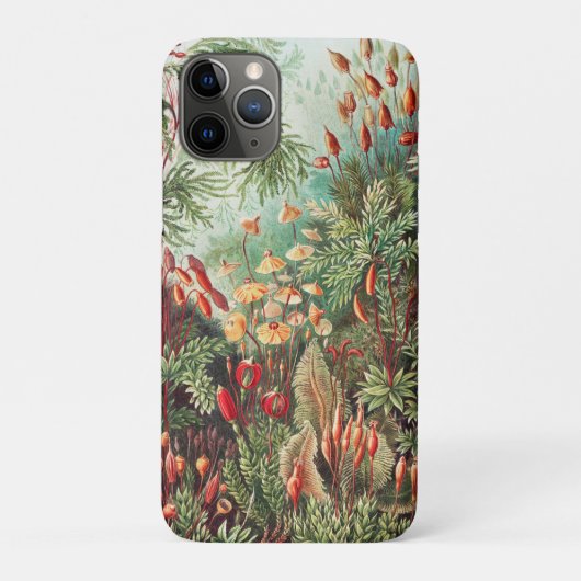 Mosses, Muscinae Laubmoose door Ernst Haeckel Case-Mate iPhone Case (Achterkant)