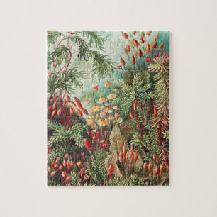 Mosses, Muscinae Laubmoose door Ernst Haeckel Legpuzzel