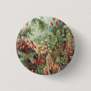 Mosses, Muscinae Laubmoose door Ernst Haeckel Ronde Button 3,2 Cm