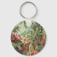Mosses, Muscinae Laubmoose door Ernst Haeckel