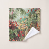 Mosses, Muscinae Laubmoose par Ernst Haeckel (Gant de toilette)