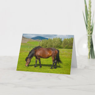 Mossfellsbaer IJslandse paarden Kaart