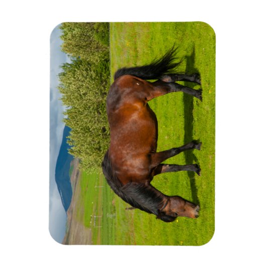 Mossfellsbaer IJslandse paarden Magneet (Verticaal)