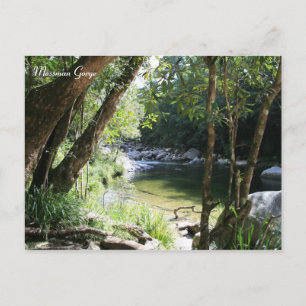 Mossman Gorge, Queensland - Briefkaart
