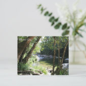 Mossman Gorge, Queensland - Carte postale (Debout devant)