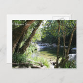 Mossman Gorge, Queensland - Carte postale (Devant / Derrière)