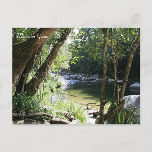 Mossman Gorge, Queensland - Carte postale (Devant)