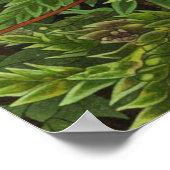 Mossmotief poster (Hoek)