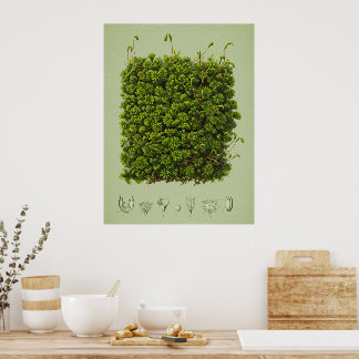 Mossmotief poster