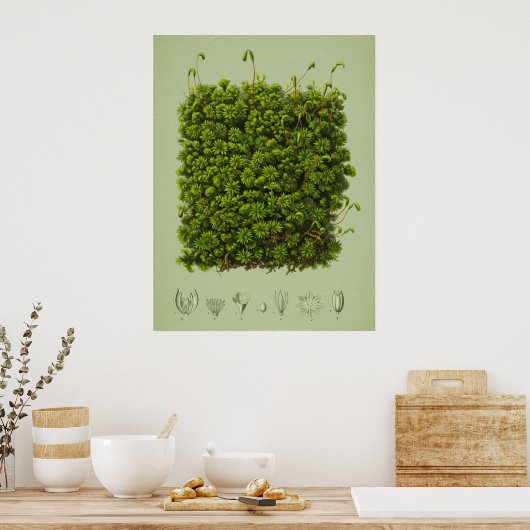 Mossmotief poster (Keuken)