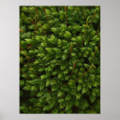 Mossmotief poster (Voorkant)