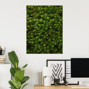 Mossmotief poster