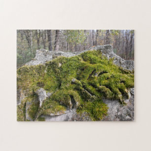 Mossy Broken Headstone Legpuzzel