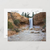 Mossy Cave Waterfall Briefkaart (Voorkant / Achterkant)