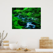 Mossy Forest Stream in Killarney National Park Poster (Keuken)