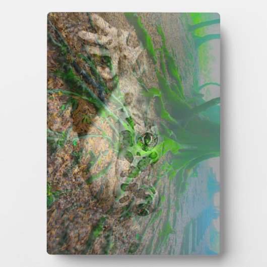Mossy Frog Fotoplaat (voorkant)