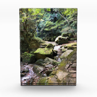 Mossy Mountain Stream in a Japanese Forest Jigsaw Fotoblokken
