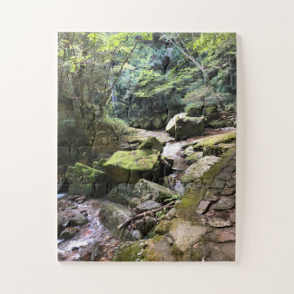 Mossy Mountain Stream in a Japanese Forest Jigsaw Legpuzzel