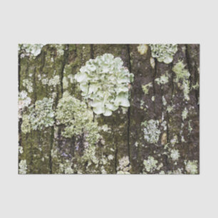Mossy Oak Trunk Tissuepapier