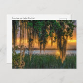 Mossy Sunrise Briefkaart (Voorkant / Achterkant)