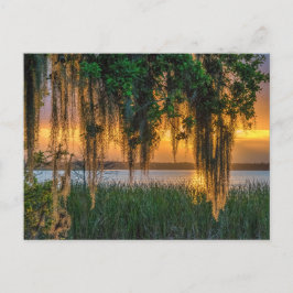 Mossy Sunrise Briefkaart
