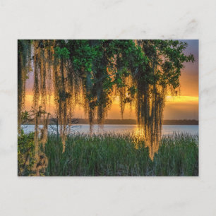 Mossy Sunrise Briefkaart