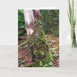 Mossy Tree-kaart Feestdagen Kaart