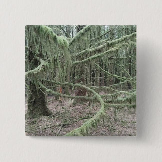 Mossy Trees In Welsh Woodland 2025 Vierkante Button 5,1 Cm