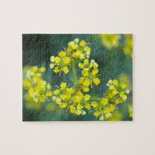 Mosterd Bloemen, Legpuzzel, 20x25 cm, 110 stuks Legpuzzel