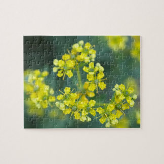 Mosterd Bloemen, Legpuzzel, 20x25 cm, 110 stuks Legpuzzel
