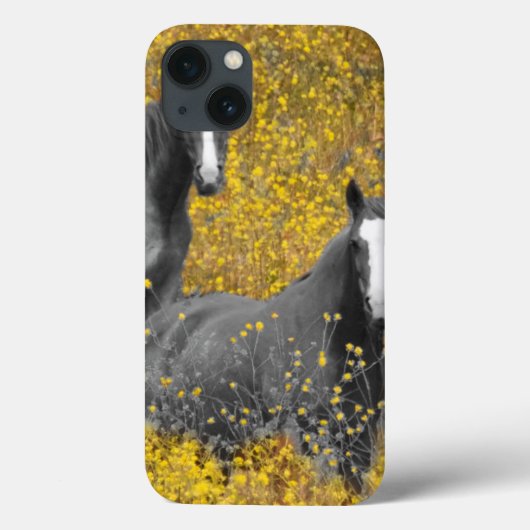 Mosterd en paarden Case-Mate iPhone case (Achterkant)