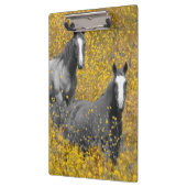Mosterd en paarden klembord (Links)