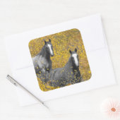 Mosterd en paarden vierkante sticker (Envelop)