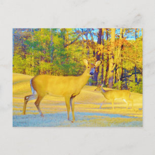 Mosterd gekleurd deer met lichtblauw briefkaart