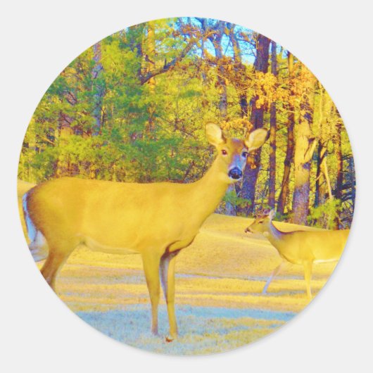 Mosterd gekleurd deer met lichtblauw ronde sticker (Voorkant)