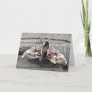 Mot, de Lege Kaart van de Nota door Teken Easton