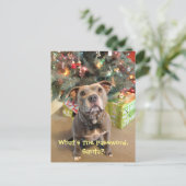 Mot de passe de Pitbull pour la carte postale de (Debout devant)