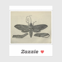  mot metamorfose print sticker