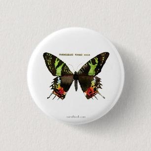 Mote: Madagascan Sunset Moth Ronde Button 3,2 Cm