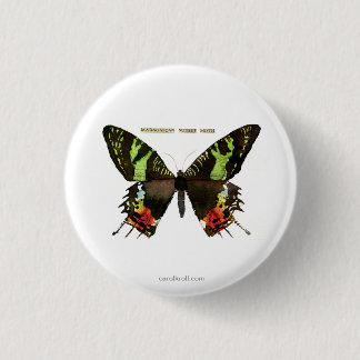 Mote: Madagascan Sunset Moth Ronde Button 3,2 Cm