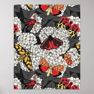 Moten op witte hydrangea poster