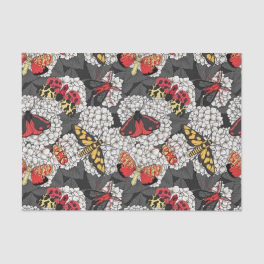 Moten op witte hydrangea tissuepapier (Voorkant)