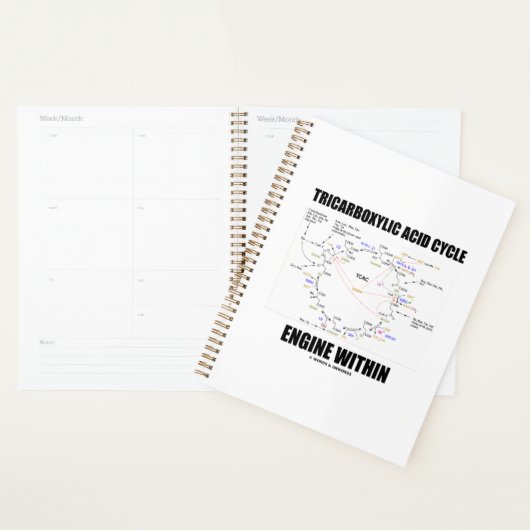 Moteur de cycle acide tricarboxylique dans le cycl (Devant avec enveloppe)